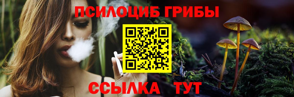 Северск  наркотики  Вход с VPN  Псилоцибиновые грибы Cubensis 