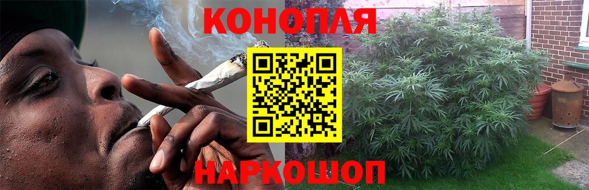 Шишки марихуана сатива  Шишки марихуана SATIVA & INDICA  Марихуана гибрид  Северск  Вход с VPN 